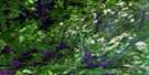 052C15 Mine Centre Aerial Satellite Photo Thumbnail