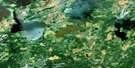 053B13 Nikip Lake Aerial Satellite Photo Thumbnail