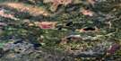 053E03 Lily Pad Lake Aerial Satellite Photo Thumbnail