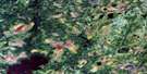 053G04 Sakwaso Lake Aerial Satellite Photo Thumbnail