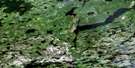053L03 Opom Lake Aerial Satellite Photo Thumbnail