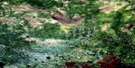 063A15 Pickerel Bay Aerial Satellite Photo Thumbnail