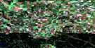 063D11 Porcupine Plain Aerial Satellite Photo Thumbnail