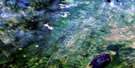 063E01 Leaf Lake Aerial Satellite Photo Thumbnail