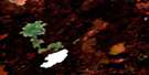 063G12 Bracken Lake Aerial Satellite Photo Thumbnail