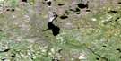 064J04 Morand Lake Aerial Satellite Photo Thumbnail