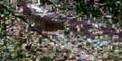 072H15 Dummer Aerial Satellite Photo Thumbnail