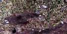 072K08 Roseray Aerial Satellite Photo Thumbnail