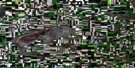 072N10 Kiyiu Lake Aerial Satellite Photo Thumbnail