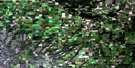 073G04 Meeting Lake Aerial Satellite Photo Thumbnail