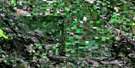 073G07 Canwood Aerial Satellite Photo Thumbnail