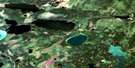 073J07 Listen Lake Aerial Satellite Photo Thumbnail