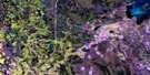 073J12 Bazill Bay Aerial Satellite Photo Thumbnail