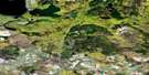 073K08 Island Hill Aerial Satellite Photo Thumbnail