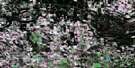 073L06 Goodridge Aerial Satellite Photo Thumbnail