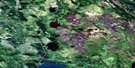 073N08 Apps Lake Aerial Satellite Photo Thumbnail