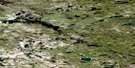 074J14 Squirrel Lake Aerial Satellite Photo Thumbnail