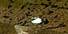 075O06 Heuss Lake Aerial Satellite Photo Thumbnail
