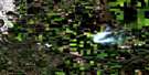 082I13 Dalemead Aerial Satellite Photo Thumbnail