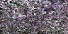 083J01 Barrhead Aerial Satellite Photo Thumbnail