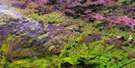 084E16 Haro River Aerial Satellite Photo Thumbnail