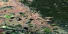 085B01 Skillet Lake Aerial Satellite Photo Thumbnail