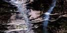 092O09 Dog Creek Aerial Satellite Photo Thumbnail