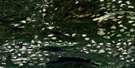 093F09 Tatuk Lake Aerial Satellite Photo Thumbnail