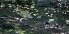 093G05 Pelican Lake Aerial Satellite Photo Thumbnail
