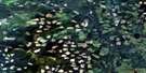 093G09 Pitoney Lake Aerial Satellite Photo Thumbnail