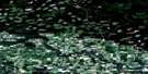 093K01 Vanderhoof Aerial Satellite Photo Thumbnail