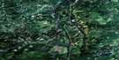 093P01 Blackhawk Lake Aerial Satellite Photo Thumbnail