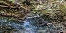 093P08 Tupper Creek Aerial Satellite Photo Thumbnail