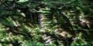 094G03 Marion Lake Aerial Satellite Photo Thumbnail