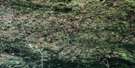094I14 Lichen Creek Aerial Satellite Photo Thumbnail