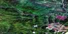 095C03 Mooney Creek Aerial Satellite Photo Thumbnail