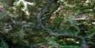 095C11 Whitefish River Aerial Satellite Photo Thumbnail