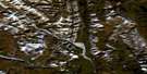 095K07 Dekale Creek Aerial Satellite Photo Thumbnail