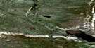 096E10 Dillon Creek Aerial Satellite Photo Thumbnail