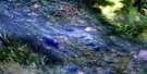 104O04 Chismaina Lake Aerial Satellite Photo Thumbnail