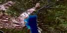 105E06 Lower Laberge Aerial Satellite Photo Thumbnail