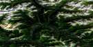 105F12 Souch Creek Aerial Satellite Photo Thumbnail