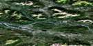 105O05 Emerald Creek Aerial Satellite Photo Thumbnail