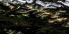 106D07 Williams Creek Aerial Satellite Photo Thumbnail