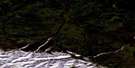 106E05 Prongs Creek Aerial Satellite Photo Thumbnail