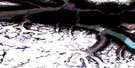 114P05 Konamoxt Glacier Aerial Satellite Photo Thumbnail