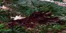 115O11 Reindeer Mountain Aerial Satellite Photo Thumbnail