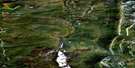 116J14 Heart Mountain Aerial Satellite Photo Thumbnail