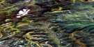 116O02 Sharp Mountain Aerial Satellite Photo Thumbnail