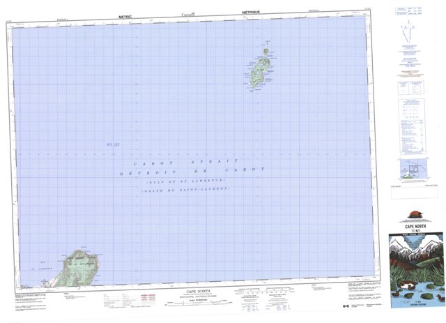 Cape North Topographic map 011N01 at 1:50,000 Scale